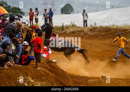 Tanjungsari, West-Java, Indonesien. 2. Oktober 2022. Ein Jockey fällt während eines traditionellen Rennpferdes in Tanjungsari von seinem Pferd. Insgesamt nahmen 106 Teilnehmer aus einer Reihe von Regionen in West-Java an diesem traditionellen Sportereignis mit verschiedenen Klassen wie 600 Meter, 800 Meter und 1000 Meter Teil. (Bild: © Algi Febri Sugita/ZUMA Press Wire) Stockfoto