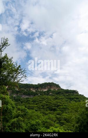 Bäume umrahmt Berge, huentitan Canyon in guadalajara, Berge und Bäume, grüne Vegetation und Himmel mit Wolken, mexiko, lateinamerika Stockfoto