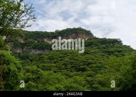 Bäume umrahmt Berge, huentitan Canyon in guadalajara, Berge und Bäume, grüne Vegetation und Himmel mit Wolken, mexiko, lateinamerika Stockfoto