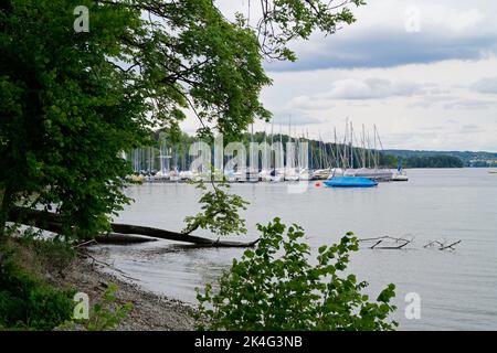 Landschaftlich reizvolle Aussicht mit Segelbooten, die am Starnberger See oder Starnberger See ruhen, umgeben von grünen Bäumen in Bernried an einem sonnigen Tag im Mai, Bayern, Ge Stockfoto