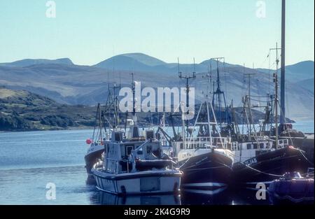 Fischerboote im Hafen von Ullapool, Schottland. Stockfoto