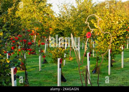 Da, aber nicht da Tommy Silhouetten am Mill Pond Meadow Woodland Memorial in Featherstone, West Yorkshire, Großbritannien Stockfoto