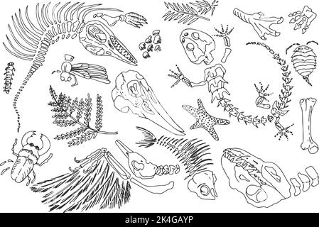 Isolierte schwarze Linie Kontur druckt Skelette von prähistorischen Tieren, Insekten und Pflanzen. Satz von Archäologie, Risse Felsen Fragmente, Trümmer Felsbrocken Stock Vektor