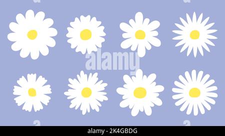 Flaches Gänseblümchen. Kamillenwiese weiße Blumen Ikonen. Gänseblümchen-Kollektion mit verschiedenen Blütenblättern. Retro groovig trendy isoliert Vektor botanisch Stock Vektor
