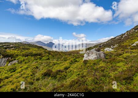 Tryfan und das Glyderau von Craig Wen aus gesehen, einem Teil der Bergketten, die über dem Ogwen Valley, Snowdonia National Park, ragen Stockfoto