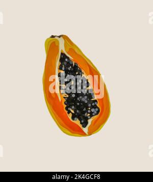 Reife Papaya mit Samen. Vektorgrafik. Stock Vektor