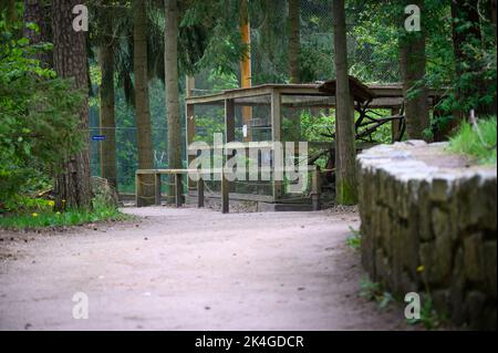 Hamburg, Deutschland. 07.. Mai 2022. Das Nerzgehege im Wildreservat Klövensteen. Quelle: Jonas Walzberg/dpa/Alamy Live News Stockfoto