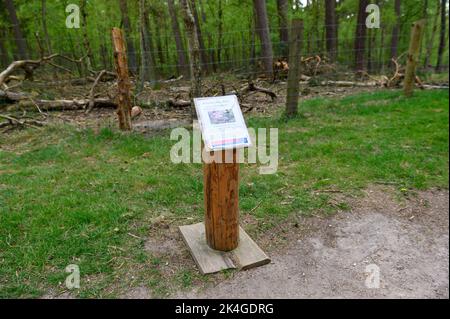 Hamburg, Deutschland. 07.. Mai 2022. Ein Schaubrett im Wildreservat Klövensteen. Quelle: Jonas Walzberg/dpa/Alamy Live News Stockfoto