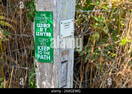 Newport, Pembrokeshire, Wales - 2022. August: Nahaufnahme eines zweisprachigen Schildes auf dem Wales Coastal Path, das Besucher davor warnt, sich von den Klippen fernzuhalten Stockfoto