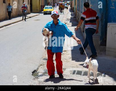 Der Mann geht mit seinen Hunden die Straße hinunter in Havanna, Kuba Stockfoto