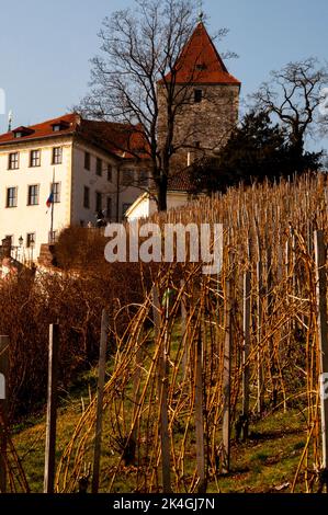 St. Wenzel Weinberg und Lubkowicz Palast in der Prager Burg Komplex in der Tschechischen Republik. Stockfoto