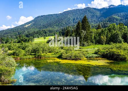 Zelenci - smaragdgrüner See in den Bergen Stockfoto