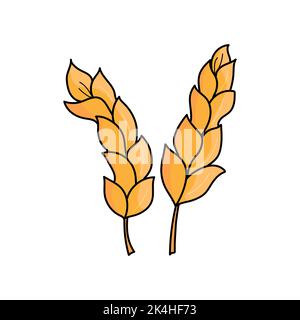 Zwei Cartoon-Weizen-Ohren auf weißem Hintergrund Vektor-Illustration. Orange einfache handgezeichnete Zeichnung Stock Vektor