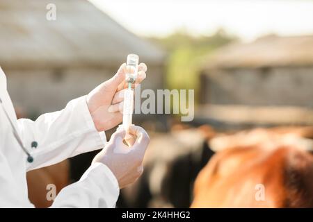 Tierarzt mit Impfstoff auf dem Bauernhof Stockfoto