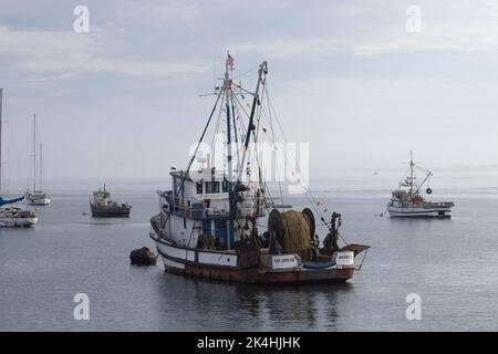 Fischerboote ruhen in der Monterey Bay. Stockfoto