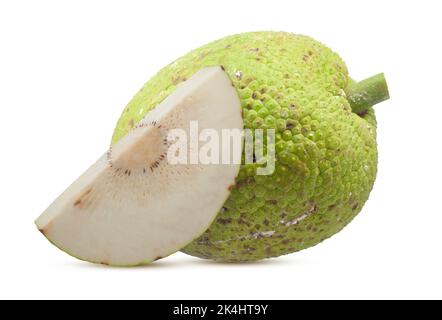 Brotfrucht isoliert auf weißem Hintergrund Stockfoto