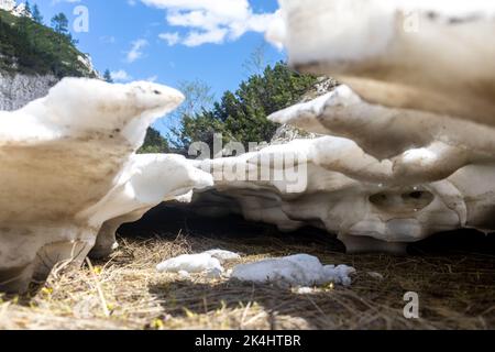 Frühlingsdicke Schneeschicht, die unter der Sonne schmilzt Stockfoto