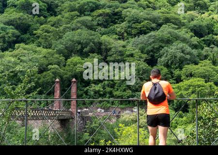 Huentitan Schlucht, Person, die die Vegetation der Schlucht betrachtet, Stahlgeländer, orangefarbenes T-Shirt, Rucksack, Bäume und Brücke, guadalajara Stockfoto