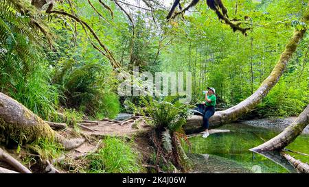 Macmillan Provincial Park Sieben Wunder Kanadas Vancouver Island Ancient Douglas FIR Cathedral Grove Old Growth Douglas FIR Forest British Columbia Cathedral Grove riesige tausend Jahre alte Bäume Moos Stockfoto