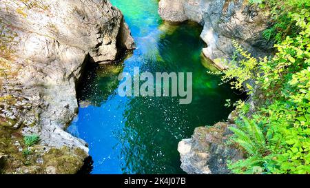 Sie können einen leuchtend blauen Fluss sehen, der von einem wunderschönen Wasserfall fließt, der durch den Englishman River Falls Park Parksville Qualicum Vancouver Island Canada fließt. Hochwertige Fotos Stockfoto