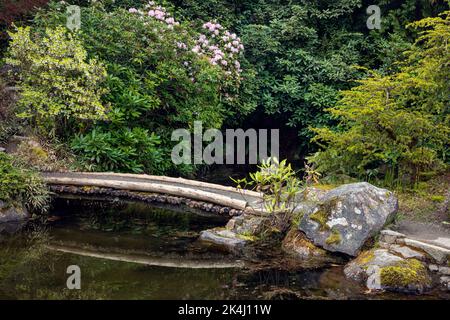 WA22137-00...WASHINGTON - kleine Brücke über den reflektierenden Teich im Japanses Garden-Bereich des Kubota Garden; einem Stadtpark von Seattle. Stockfoto