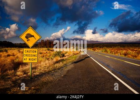 Straßenschild Kiwi Crossing im Tongariro National Park, Neuseeland Stockfoto