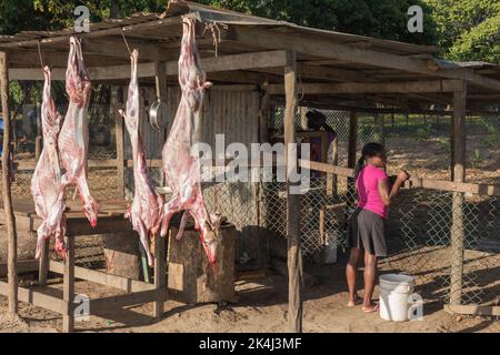 Higüey, La Altagracia, 27. Mai 2017: Dominikanisches Mädchen, das in einem Ziegenschlachthaus am Straßenrand arbeitet. Stockfoto