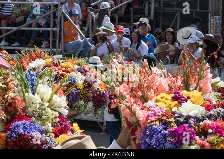 Medellín, Antioquia, 7. August 2017: Menschen beobachten die Blumenparade in Medellin. Stockfoto