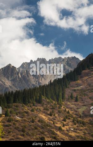 Landschaft über dem Ala Archa Pass, Kirgisistan. Stockfoto