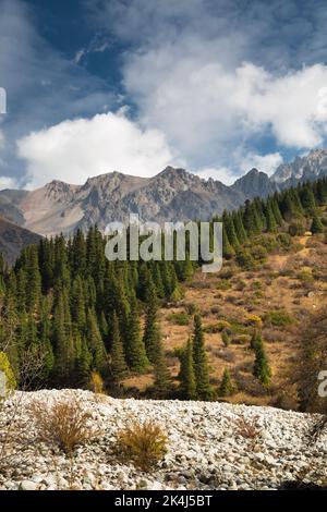 Landschaft über dem Ala Archa Pass, Kirgisistan. Stockfoto