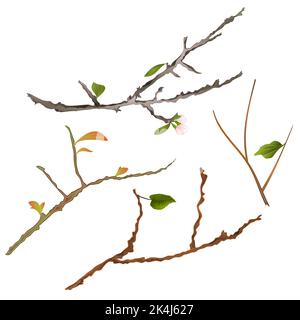 Zweig verschiedene Zweige Zweig Zweig Baum und Busch Vektor-Illustration Stock Vektor