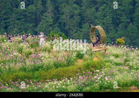 Yen Bai Provinz, Vietnam - 23 Sep 2022: Blick auf Touristen und Einheimische in goldenen Reisterrassen in der Stadt Mu cang Chai in der Nähe der Stadt Sapa, nördlich von Vietn Stockfoto