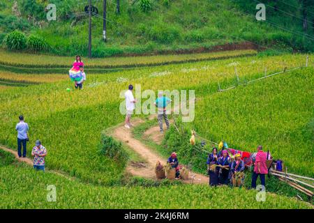 Yen Bai Provinz, Vietnam - 23 Sep 2022: Blick auf Touristen und Einheimische in goldenen Reisterrassen in der Stadt Mu cang Chai in der Nähe der Stadt Sapa, nördlich von Vietn Stockfoto