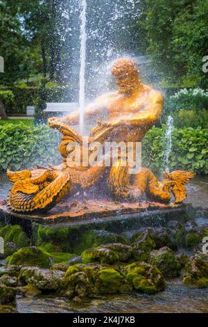 Sankt Petersburg, Russland - 20. September 2017: Orangefarbene Skulptur des männlichen Kämpfers und Alligators mit spritzender Fontäne im Garten von Peter Stockfoto