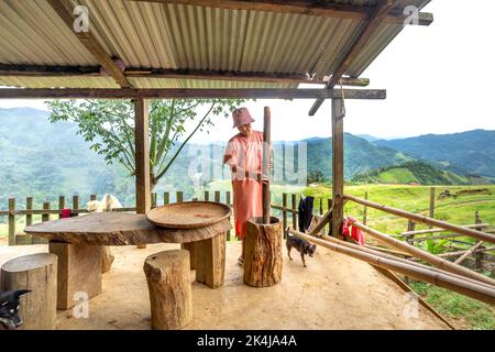 Nam Tra My District, Quang Nam Province, Vietnam - 24. August 2022: Eine Frau stampfte Reis mit einem Holzmörtel in Nam Tra My District, Quang Nam Provi Stockfoto
