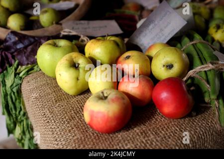 Äpfel auf einem traditionellen Tisch in Sussex, Großbritannien. Stockfoto