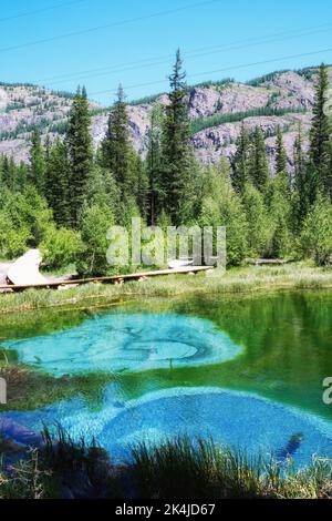 Türkisfarbener Geysir-See im Bergwald. Wilde Altai-Natur Stockfoto