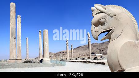 Steinskulptur von griffin und Säulen des Apadana-Palastes, erbaut von Darius dem großen, Persepolis, Iran. UNESCO-Weltkulturerbe Stockfoto