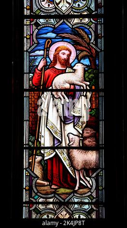 Buntglasfenster mit Darstellung von Jesus dem Hirten in der Tavistock Parish Church. Eine von nur drei englischen Kirchen, die dem heiligen Eustachius geweiht sind. Stockfoto