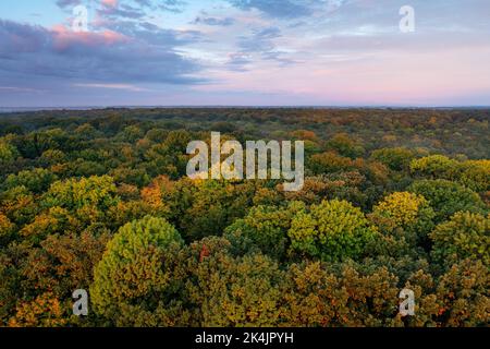 Herbstwald in der Morgendämmerung, vor dem Hintergrund des morgendlichen bewölkten Himmels. Eine wunderschöne Landschaft am Morgen. Drohnenansicht. Stockfoto