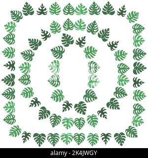 Set von grünen Monstera Blätter isoliert auf weißem Hintergrund. Natürliche Rahmen Stock Vektor