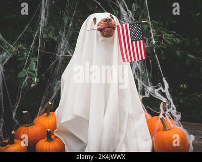 Frohe Halloween. Charmanter, liebenswerter Welpe, Geisterkostüm und American Flag. Nahaufnahme, drinnen. Studioaufnahme. Herzlichen Glückwunsch für Familie, Verwandte, Frie Stockfoto