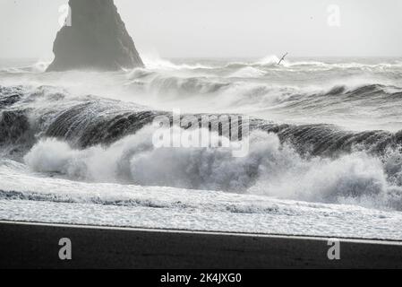 An einem stürmischen Tag, in der Nähe von Vík í Mýrdal, Island, schlagen Ozeanwellen gegen die Reynisdrangar-Meeresstacks und den schwarzen Lavastrand des Reynisfjara-Strandes Stockfoto