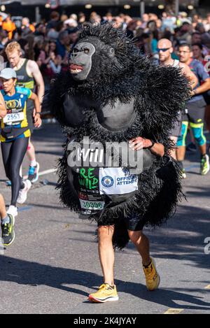 Will Highfield beim TCS London Marathon 2022 auf der Tower Hill Road, City of London, Großbritannien. Trägt ein Gorilla Kostüm für Re-Wild Our World Stockfoto