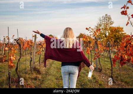 Glückliche Frau mit rot gestricktem Poncho genießt Wein nach erfolgreicher Weinlese im Weinberg. Herbstsaison Stockfoto
