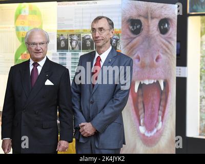 FILEBILD König Carl Gustaf von 2016Sweden besucht am Samstag, den 08. Oktober 2016, das Max-Planck-Institut für evolutionäre Anthropologie in Leipzig, am letzten Tag des viertägigen Staatsbesuchs der königlichen Paare in Deutschland. Professor Svante Pääbo und Kollegen zeigen auf der Premesis. Foto Jonas Ekstromer / TT / Code 10030 Stockfoto