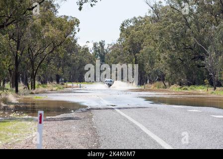 18. September 2022, Kamilaroi Highway, Boggabri NSW, Australien: Ein Allradantrieb-Fahrzeug fährt auf der überfluteten Hauptstraße zwischen Boggabri und Narrabri im Nordwesten von NSW. Dieses und andere nahe gelegene Gebiete wurden überschwemmt, nachdem der Fluss Namoi seine Ufer geplatzt hatte. Die Straße wurde von den örtlichen SES-Mitarbeitern sorgfältig überwacht und wurde später am Tag wegen des erhöhten Wasserstände für den gesamten Verkehr gesperrt. Credit, Stephen Dwyer, Alamy Stockfoto