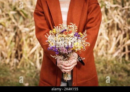 Frau mit rotem Mantel, die einen Strauß getrockneter Blumen im Maisfeld hält. Herbstsaison auf dem Land Stockfoto