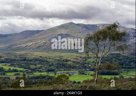 Der alte Mann von Coniston fiel, von Crag Head aus gesehen über dem Coniston Water im Lake District. Stockfoto