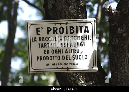 Proibita, Zeichen in italienischer Sprache, das die Ernte von Pilzen und anderen Wildnahrungsmitteln verbietet, Umbrien, Italien Stockfoto